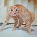 avatar mişel cog ⚙