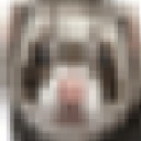 ferret_mcs#5970's avatar