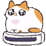 thefatcathaven
