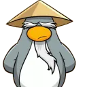 senseydev