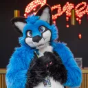 kidranfox