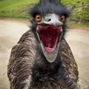 emuman