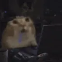 a discord avatar