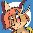 konakangaroo