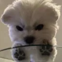 byeol2suu