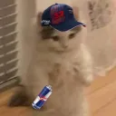 neko_gamer