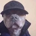 itsgortex