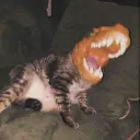 schuuka