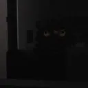 kayvon76