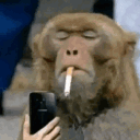 avatar Jean-Baptiste aka JohnPoliakov