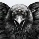 longclaw4534