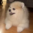 botton
