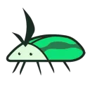 ectoimp