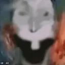 turtlesducks