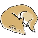 _shujie