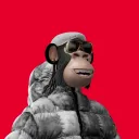 donnidano