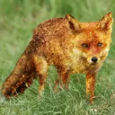 sniper_ger