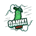 qanixi