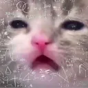 chubbybubby
