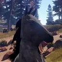 dogface_mcdogerson