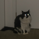 avatar august ˎˊ˗