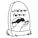 lunchboxpm