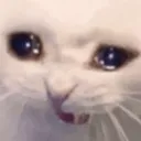 .laksa