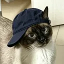 skoosh