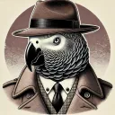 mr.kiter