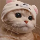 xyneex