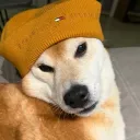 skvernc
