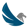 theblueraven98