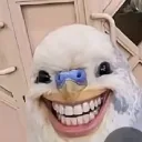 elzo67
