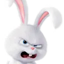 himynameisrabbit