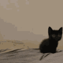 mysteriouscube