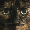 User icon