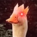 dorilu2