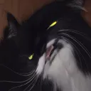 cqliix