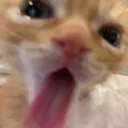 emmyuh