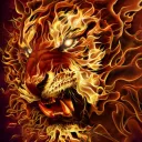 fireofthetiger