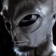 thetrippinalien