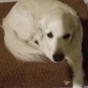 imtooluccky