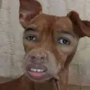 diamnd