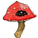 zhroomy.yt