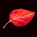 liathe_