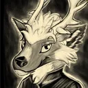 nikowolffe