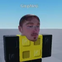 gingis_dojo