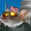 ratdog98