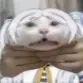 justcalledalex