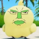 .dooga